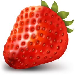 草莓文件加密器 v2.0
