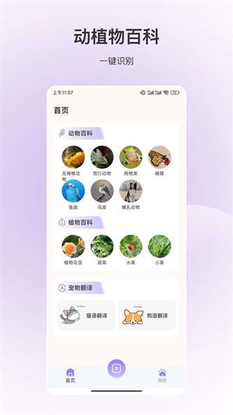 动物识别安卓版app下载